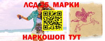 молекула духа Кингисепп