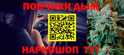 молекула духа Кингисепп