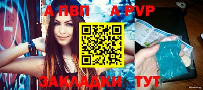 молекула духа Кингисепп