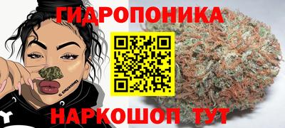 прущие крисы Кинель