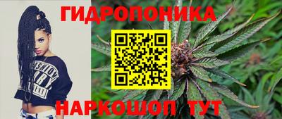 молекула духа Кингисепп