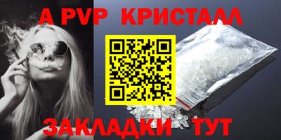 молекула духа Кингисепп