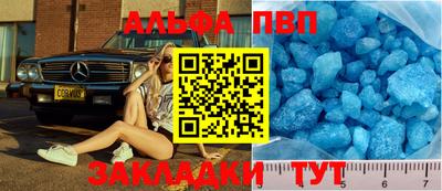 молекула духа Кингисепп