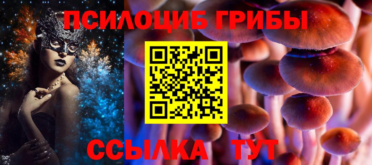 Кулебаки  Псилоцибиновые грибы GOLDEN TEACHER  купить  цена  Вход с VPN 
