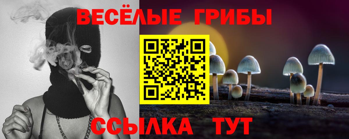 Галлюциногенные грибы GOLDEN TEACHER Кулебаки